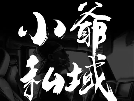 小爷·私域项目操盘手云米网创-专注分享网络创业落地实操课程 – 全网首发_高质量项目输出云米网创