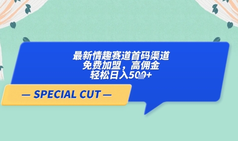 【轻云】最新情趣赛道首码渠道，免费加盟，高佣金，轻松日入5张+云米网创-专注分享网络创业落地实操课程 – 全网首发_高质量项目输出云米网创