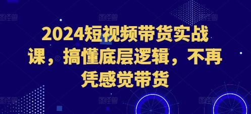 2024短视频带货实战课，搞懂底层逻辑，不再凭感觉带货云米网创-专注分享网络创业落地实操课程 – 全网首发_高质量项目输出云米网创