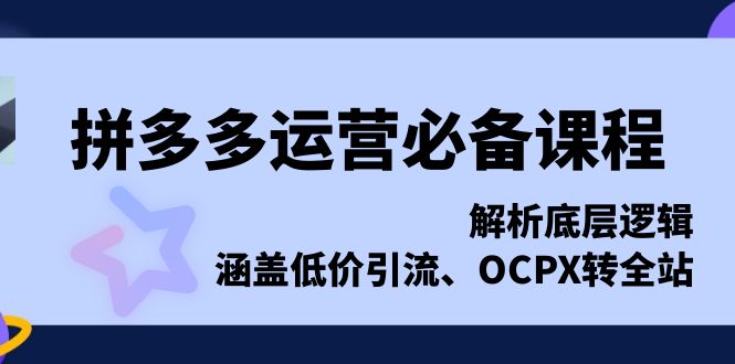 拼多多运营必备课程，解析底层逻辑，涵盖低价引流、OCPX转全站云米网创-专注分享网络创业落地实操课程 – 全网首发_高质量项目输出云米网创