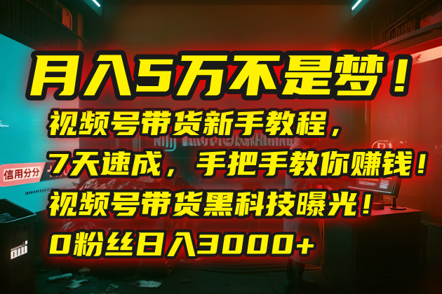 月入5万不是梦！视频号带货新手教程，7天速成，手把手教你赚钱！视频号…云米网创-专注分享网络创业落地实操课程 – 全网首发_高质量项目输出云米网创