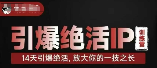 引爆绝活IP训练营，14天引爆绝活，放大你的一技之长云米网创-专注分享网络创业落地实操课程 – 全网首发_高质量项目输出云米网创