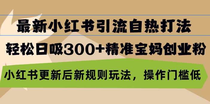 最新小红书引流自热打法，轻松日吸300+精准宝妈创业粉，小红书更新后新…云米网创-专注分享网络创业落地实操课程 – 全网首发_高质量项目输出云米网创