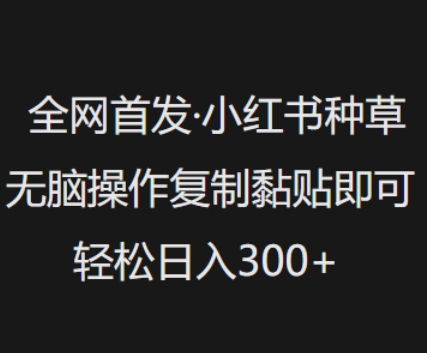 全网首发，小红书种草无脑操作，复制黏贴即可，轻松日入3张云米网创-专注分享网络创业落地实操课程 – 全网首发_高质量项目输出云米网创