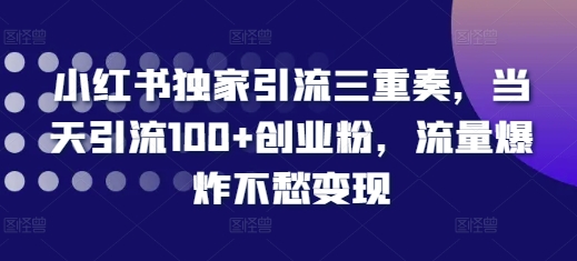 小红书独家引流三重奏，当天引流100+创业粉，流量爆炸不愁变现【揭秘】云米网创-专注分享网络创业落地实操课程 – 全网首发_高质量项目输出云米网创