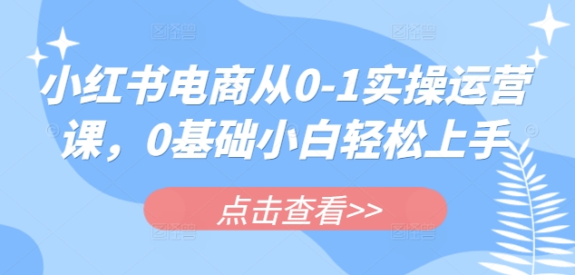 小红书电商从0-1实操运营课，0基础小白轻松上手云米网创-专注分享网络创业落地实操课程 – 全网首发_高质量项目输出云米网创