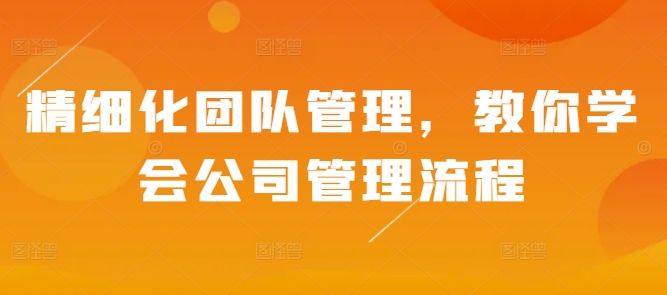 精细化团队管理，教你学会公司管理流程云米网创-专注分享网络创业落地实操课程 – 全网首发_高质量项目输出云米网创