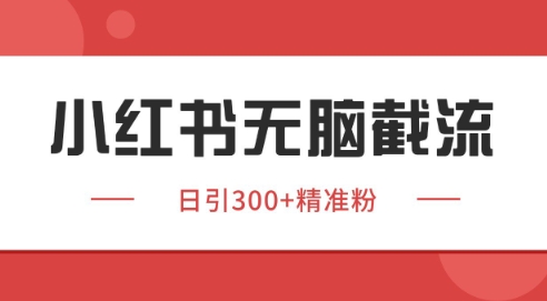 小红书截流同行客源，独家野路子获客玩法 日引200+暴力获客【揭秘】云米网创-专注分享网络创业落地实操课程 – 全网首发_高质量项目输出云米网创