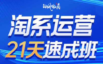 白凤电商·淘系运营21天速成班(更新3月)云米网创-专注分享网络创业落地实操课程 – 全网首发_高质量项目输出云米网创