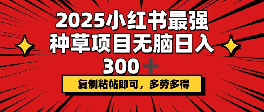 2025小红书最强种草项目，无脑日入300+，复制粘帖即可，多劳多得云米网创-专注分享网络创业落地实操课程 – 全网首发_高质量项目输出云米网创