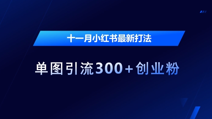 十一月小红书最新打法，单图引流300+创业粉【揭秘】云米网创-专注分享网络创业落地实操课程 – 全网首发_高质量项目输出云米网创