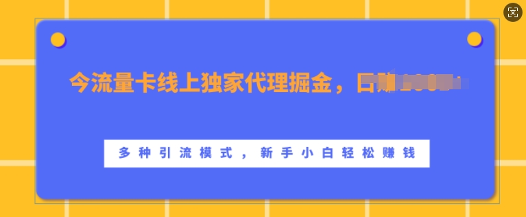 流量卡线上独家代理掘金，日入1k+ ，多种引流模式，新手小白轻松上手【揭秘】云米网创-专注分享网络创业落地实操课程 – 全网首发_高质量项目输出云米网创