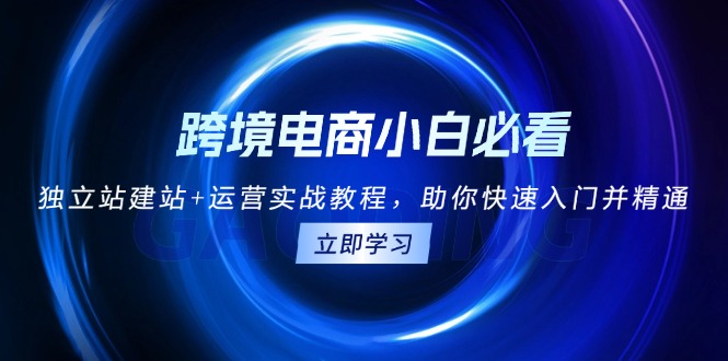 跨境电商小白必看！独立站建站+运营实战教程，助你快速入门并精通云米网创-专注分享网络创业落地实操课程 – 全网首发_高质量项目输出云米网创
