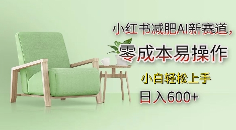 小红书减肥AI新赛道，零成本易操作，日入多张，小白轻松上手【揭秘】云米网创-专注分享网络创业落地实操课程 – 全网首发_高质量项目输出云米网创