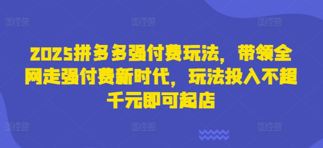 2025拼多多强付费玩法，带领全网走强付费新时代，玩法投入不超千元即可起店云米网创-专注分享网络创业落地实操课程 – 全网首发_高质量项目输出云米网创