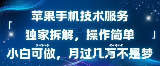 苹果手机技术服务，独家拆解，操作简单，小白可做，月过1W不是梦云米网创-专注分享网络创业落地实操课程 – 全网首发_高质量项目输出云米网创