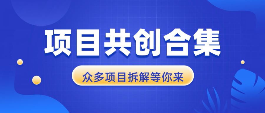 项目共创合集，从0-1全过程拆解，让你迅速找到适合自已的项目云米网创-专注分享网络创业落地实操课程 – 全网首发_高质量项目输出云米网创