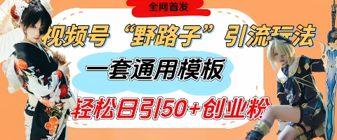 视频号“野路子”玩法，评论区疯狂截流，一套模板单日单号引流50+创业粉云米网创-专注分享网络创业落地实操课程 – 全网首发_高质量项目输出云米网创