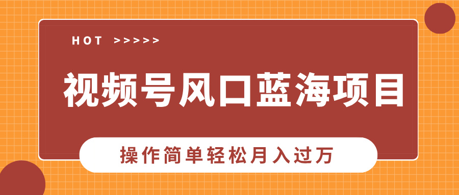 视频号风口蓝海项目，中老年人的流量密码，操作简单轻松月入过万云米网创-专注分享网络创业落地实操课程 – 全网首发_高质量项目输出云米网创