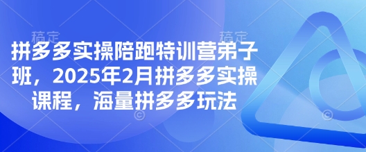 拼多多实操陪跑特训营弟子班，2025年2月拼多多实操课程，海量拼多多玩法云米网创-专注分享网络创业落地实操课程 – 全网首发_高质量项目输出云米网创