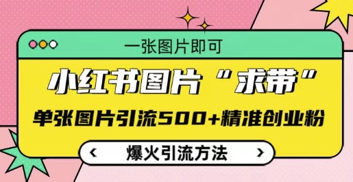 小红书图片‘求带’爆火引流法，单张图片引流500+精准创业粉【揭秘】云米网创-专注分享网络创业落地实操课程 – 全网首发_高质量项目输出云米网创