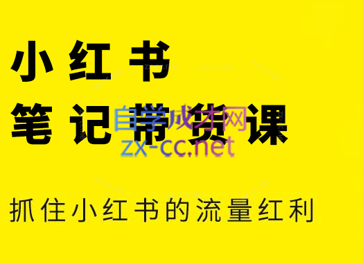 张宾·小红书笔记带货课(更新5月)云米网创-专注分享网络创业落地实操课程 – 全网首发_高质量项目输出云米网创