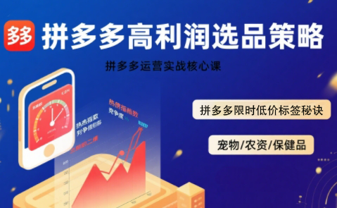久号老师·拼多多选品暴利技术实战课云米网创-专注分享网络创业落地实操课程 – 全网首发_高质量项目输出云米网创
