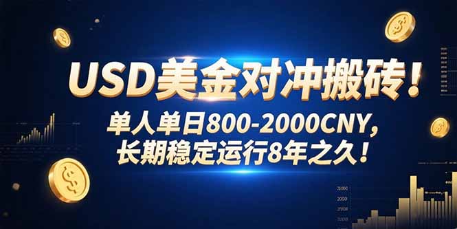 USD美金对冲搬砖!单人单日800-2000CNY，长期稳定运行8年之久!云米网创-专注分享网络创业落地实操课程 – 全网首发_高质量项目输出云米网创